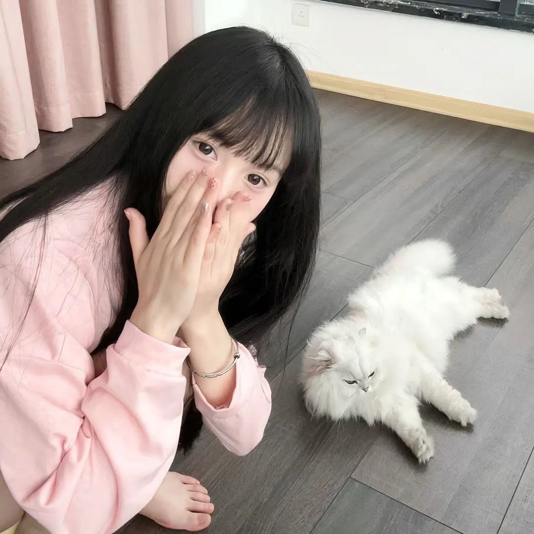 爱出猫
