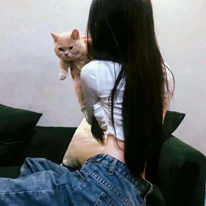 崔弟的高空飞行大冒险